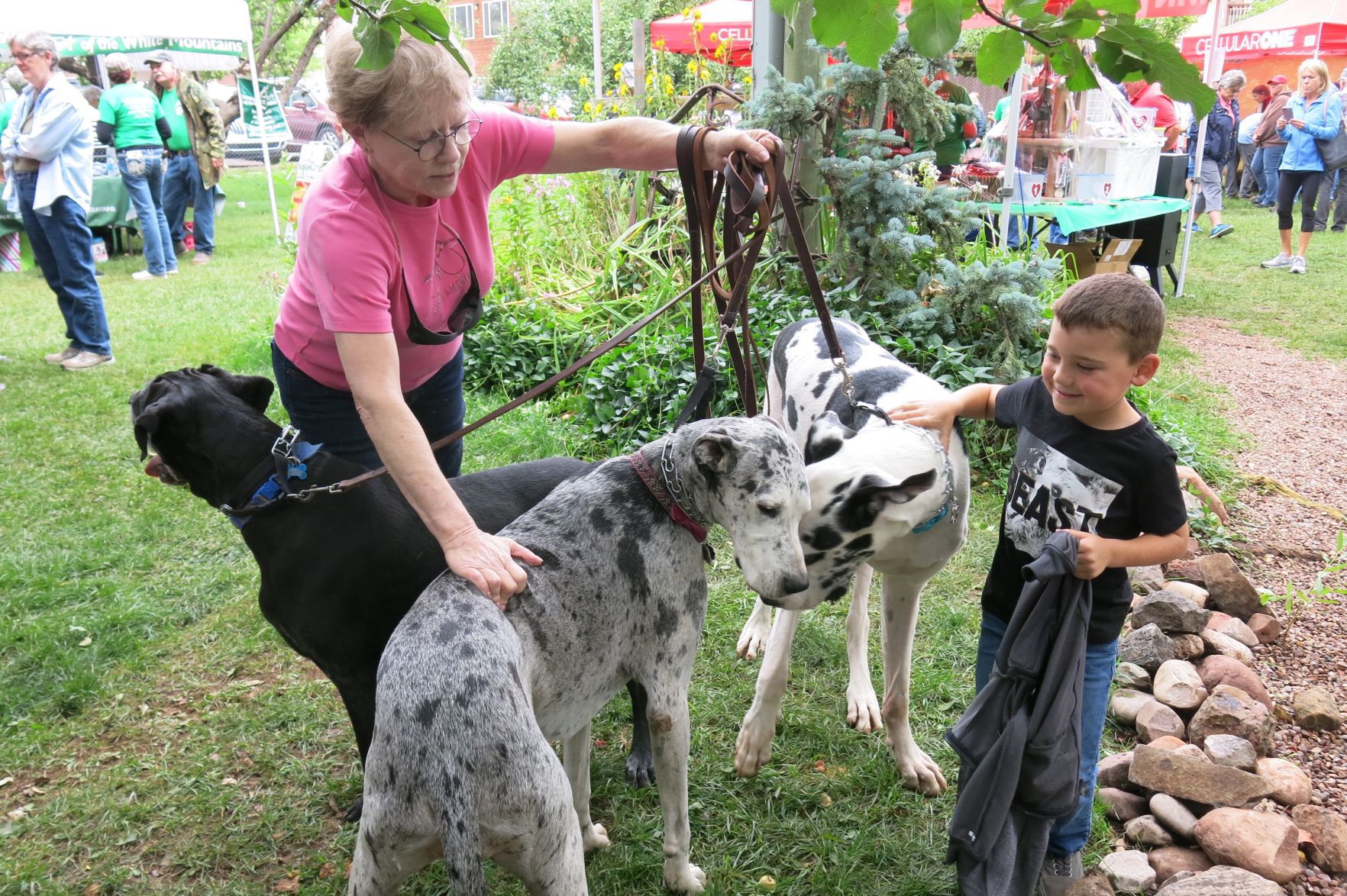 Holy Great Dane!